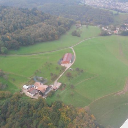 Gite A L'Oree Des Biches Sainte-Marie-aux-Mines Exterior photo